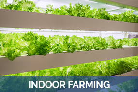 indoor-farming-1